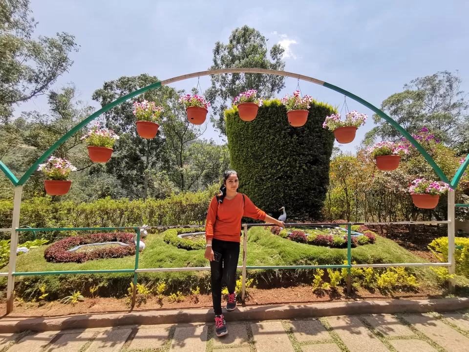 Photo of Forest Horticulture, Munnar - Udumalpet Rd, Nullatanni, Munnar, Kerala, India by Nithin