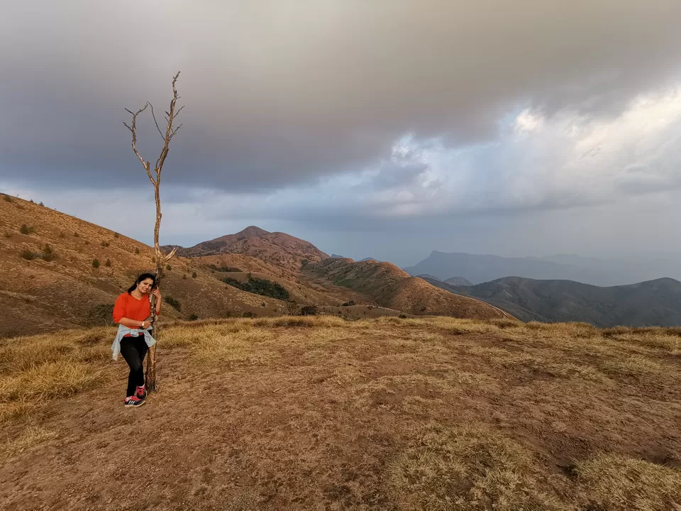Photo of Meesapulimala, Kannan Devan Hills, Tamil Nadu by Nithin