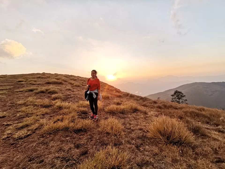 Photo of Meesapulimala, Kannan Devan Hills, Tamil Nadu by Nithin