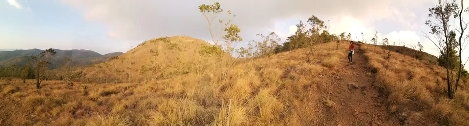 Photo of Meesapulimala, Kannan Devan Hills, Tamil Nadu by Nithin