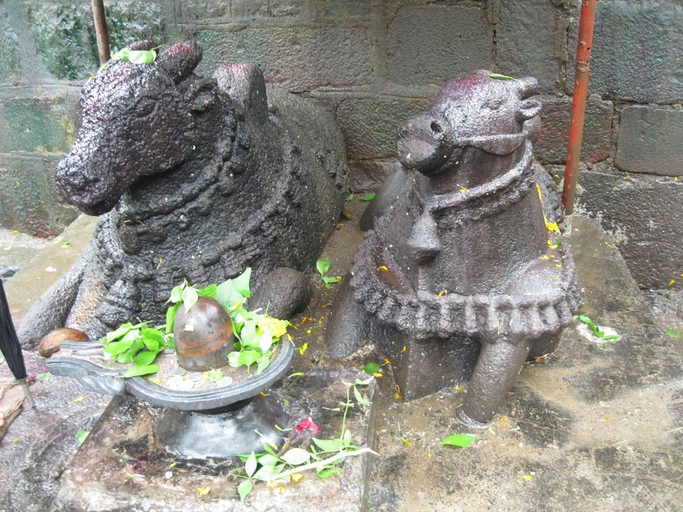 Photo of Bhimashankar, Maharashtra, India by Ankit
