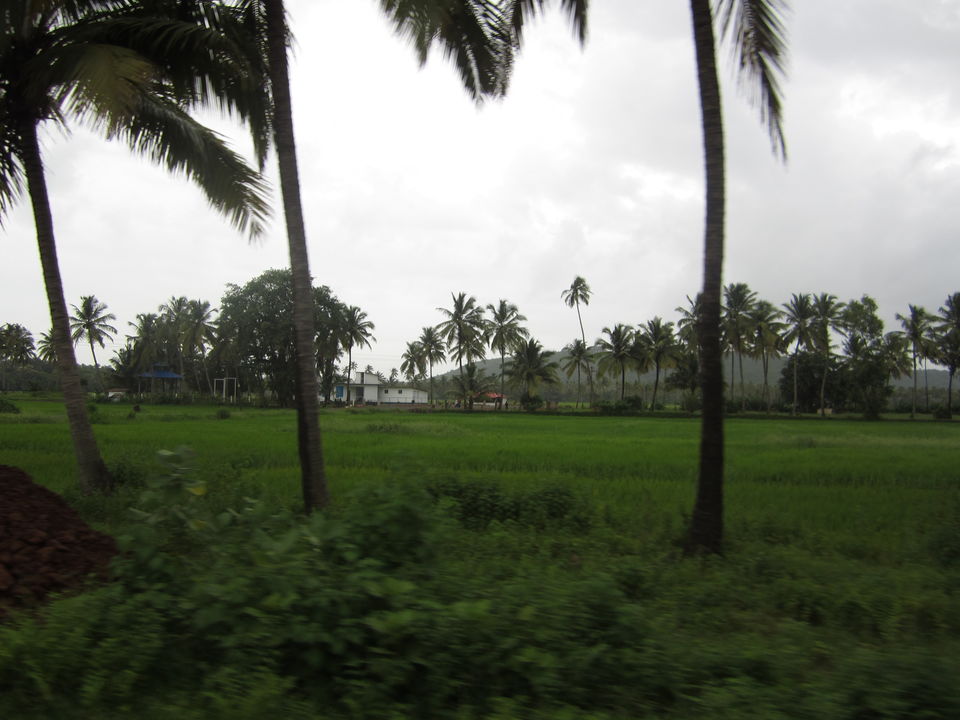 Photo of 48 hours, South Goa and Rains!!! 1/5 by Ruchi Ranawat