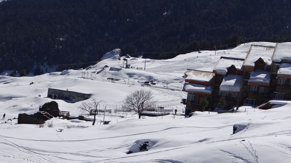 Photo of Why visit Alps when you have Auli 7/11 by Ruchi Ranawat