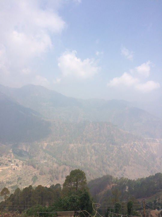 Photo of Whispering Pines Himalayan Retreat, Dhanolti, Uttarakhand, India by Manisha Jain