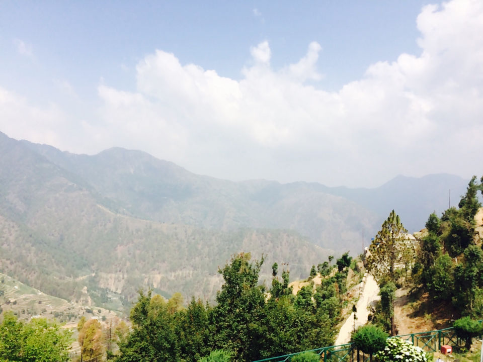 Photo of Whispering Pines Himalayan Retreat, Dhanolti, Uttarakhand, India by Manisha Jain