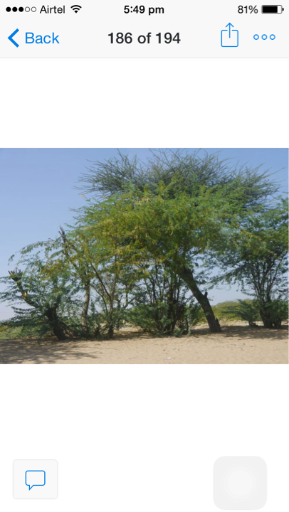 Photo of Petite yet mystique Jaisalmer 1/7 by Manisha Jain