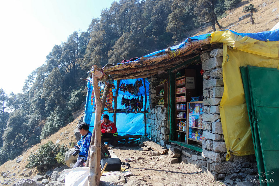 Photo of Triund Trek 2/26 by Sri Harsha