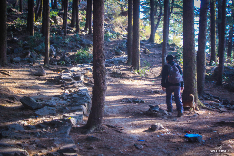 Photo of Triund Trek 5/26 by Sri Harsha