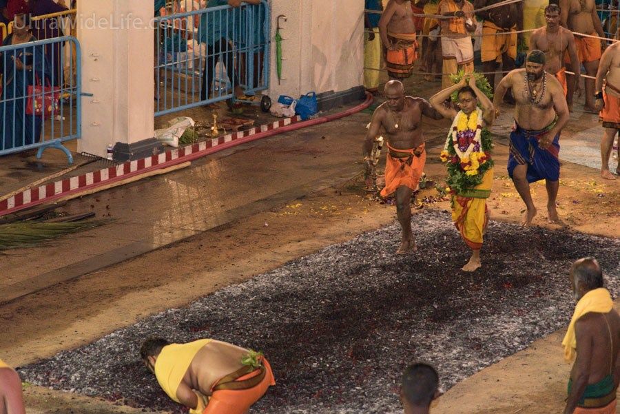 Photo of Thimithi in Singapore – A Firewalking Ceremony 3/11 by Ankur