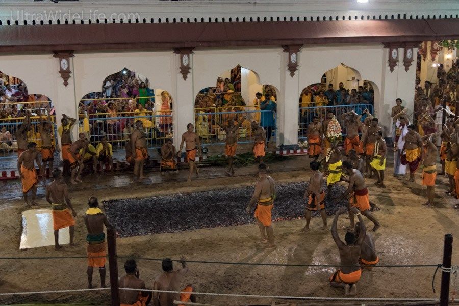 Photo of Thimithi in Singapore – A Firewalking Ceremony 4/11 by Ankur