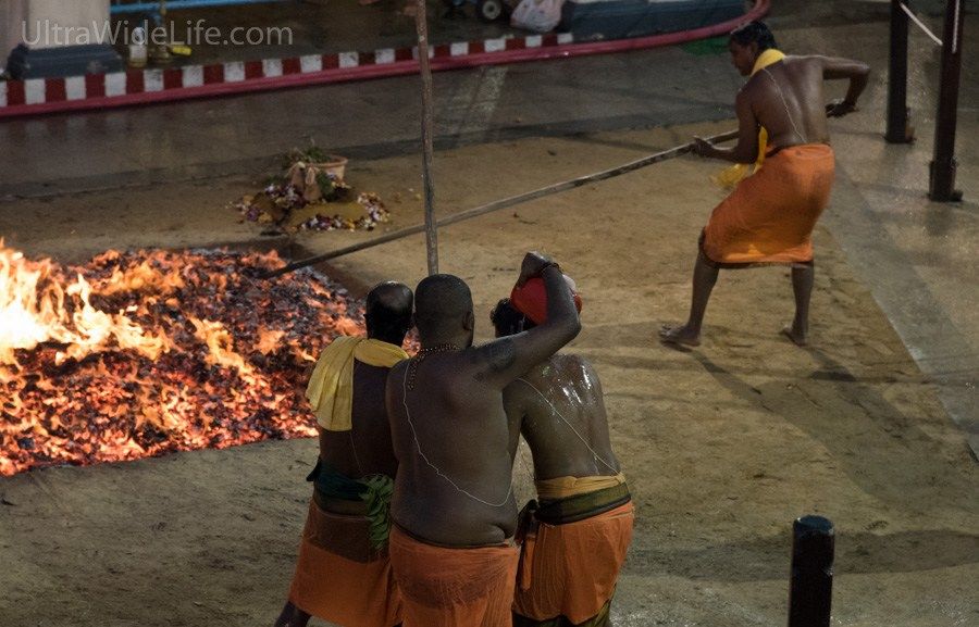 Photo of Thimithi in Singapore – A Firewalking Ceremony 8/11 by Ankur