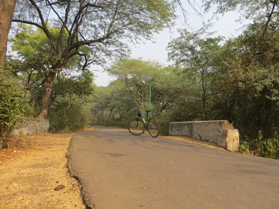 Photo of Malcha Marg, Diplomatic Enclave, New Delhi, Delhi, India by Vishal Kapur
