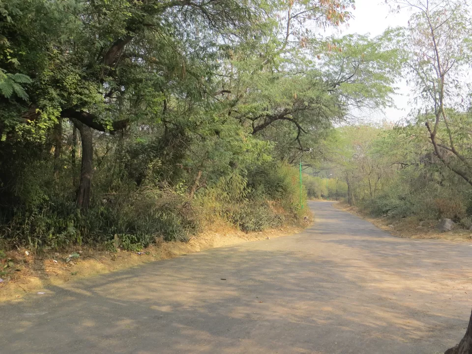 Photo of Malcha Marg, Diplomatic Enclave, New Delhi, Delhi, India by Vishal Kapur