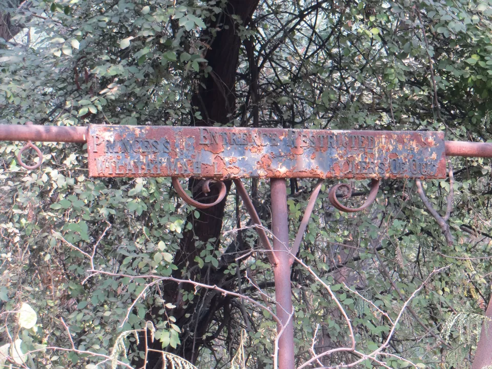 Photo of Malcha Marg, Diplomatic Enclave, New Delhi, Delhi, India by Vishal Kapur