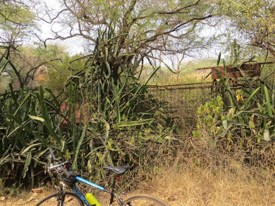 Photo of Malcha Marg, Diplomatic Enclave, New Delhi, Delhi, India by Vishal Kapur
