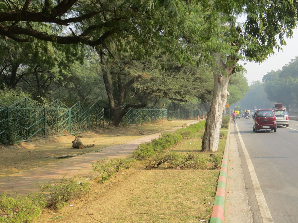 Photo of Me, My Cycle and Delhi 41/70 by Vishal Kapur