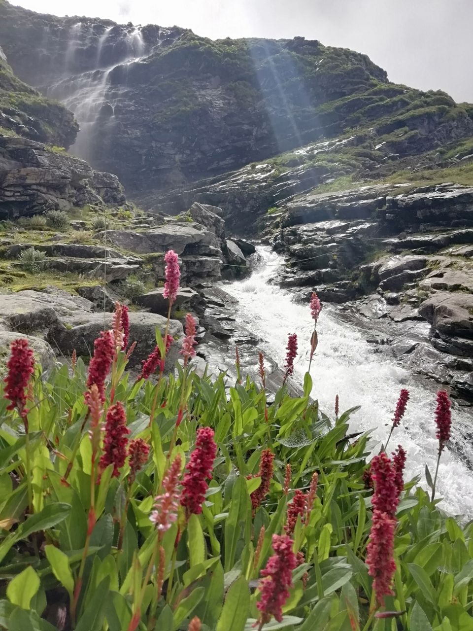 Photo of Hemkund, Uttarakhand, India by Suraj Bajaj