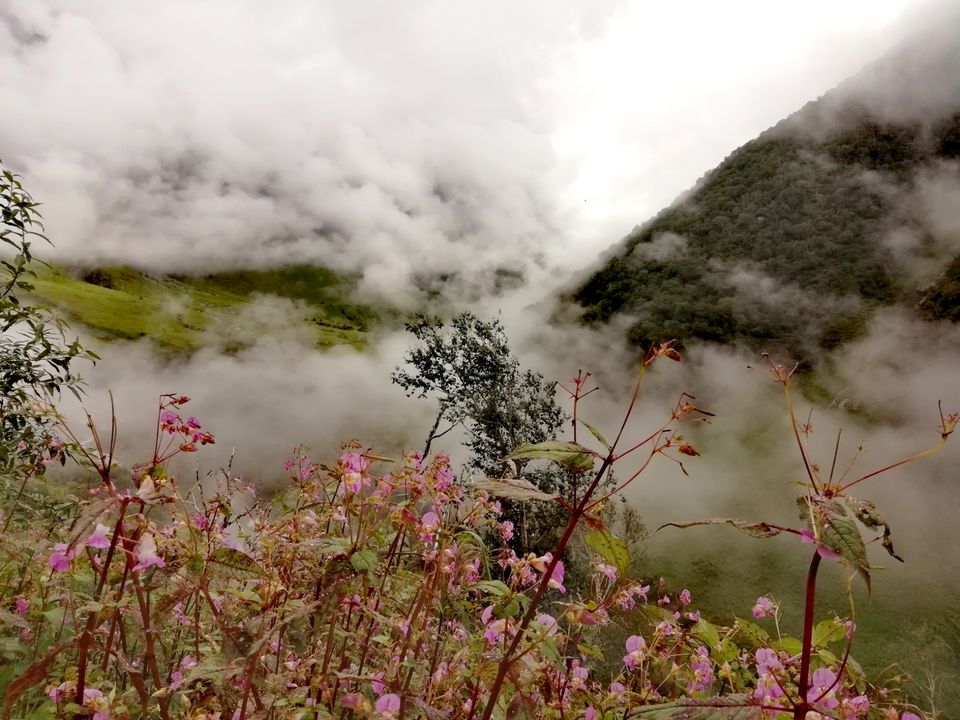 Photo of Valley of Flowers National Park, Uttarakhand, India by Suraj Bajaj