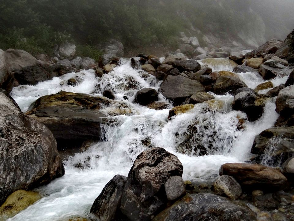 Photo of Valley of Flowers National Park, Uttarakhand, India by Suraj Bajaj