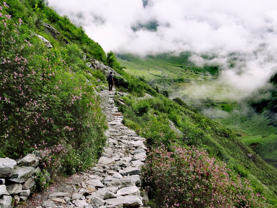Photo of Valley of Flowers National Park, Uttarakhand, India by Suraj Bajaj