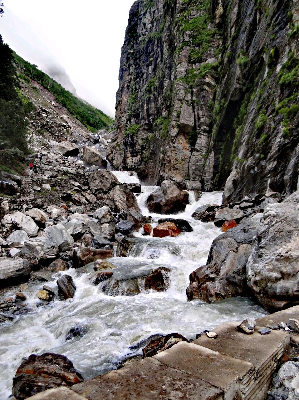 Photo of Valley of Flowers National Park, Uttarakhand, India by Suraj Bajaj