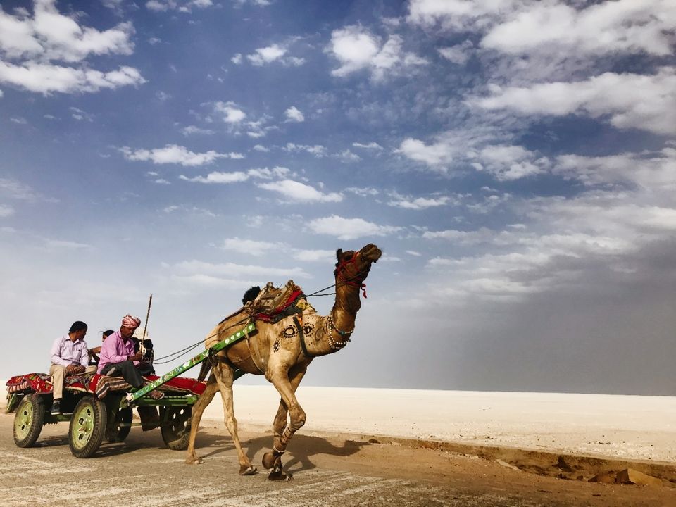 Photo of White Rann, Kutch, Gujarat, India by Suraj Bajaj
