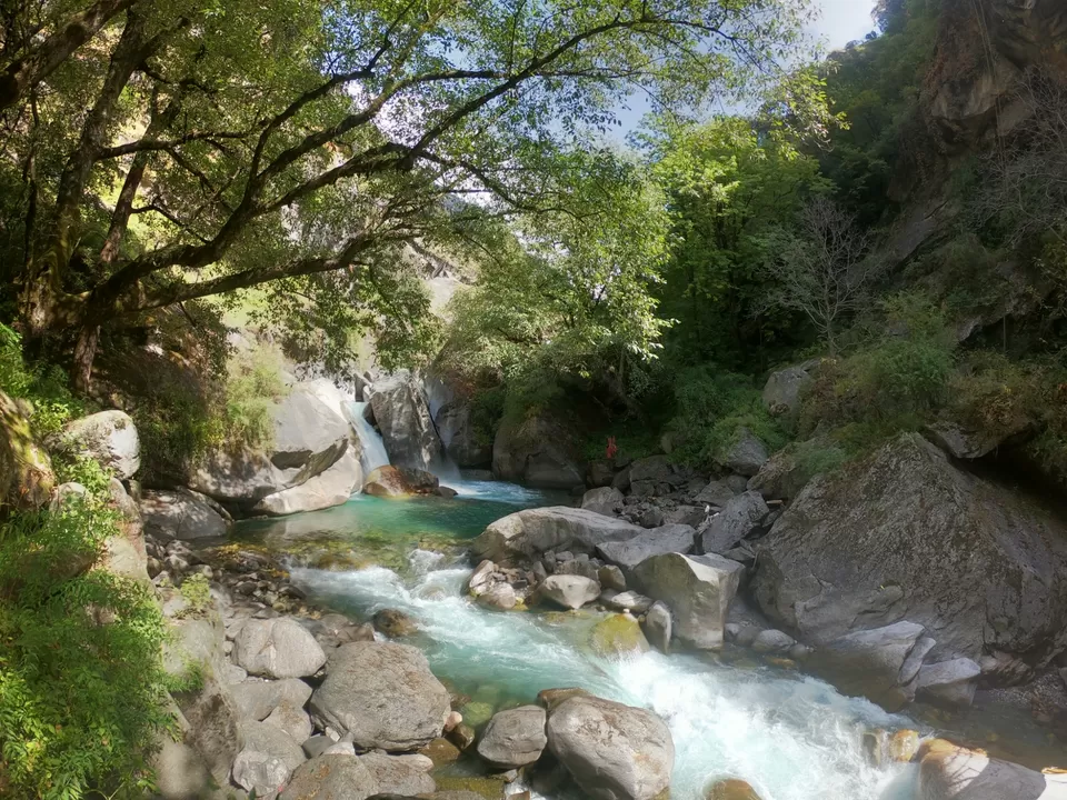 Photo of The Great Himalayan National Park, Forest Office Road, Shamshi, Himachal Pradesh, India by Suraj Bajaj