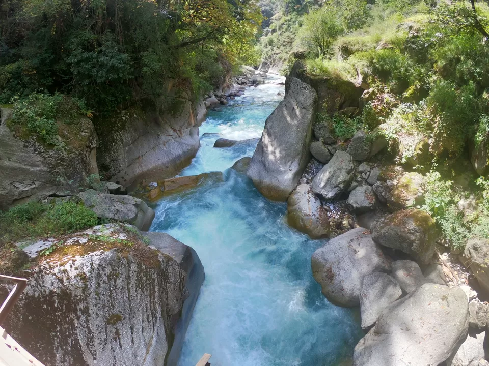 Photo of The Great Himalayan National Park, Forest Office Road, Shamshi, Himachal Pradesh, India by Suraj Bajaj
