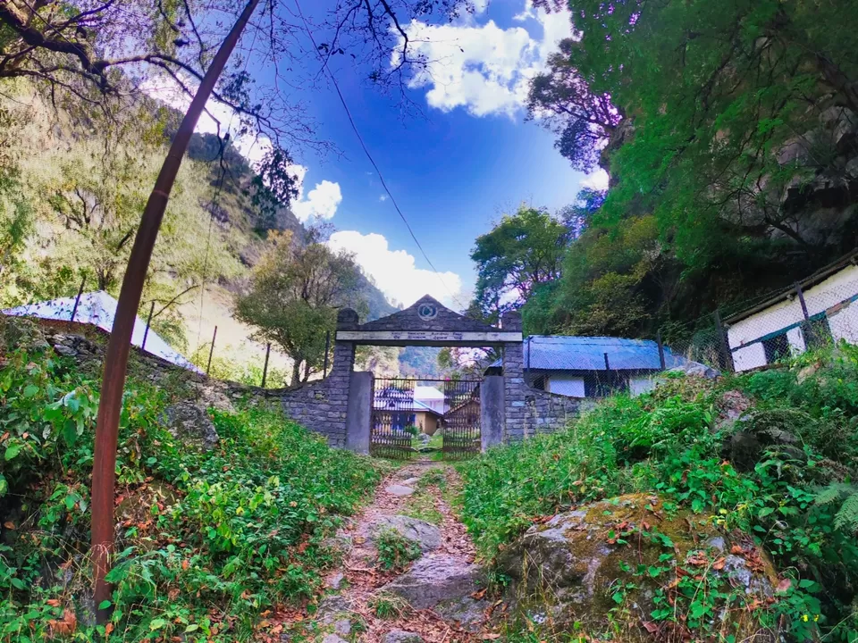 Photo of The Great Himalayan National Park, Forest Office Road, Shamshi, Himachal Pradesh, India by Suraj Bajaj