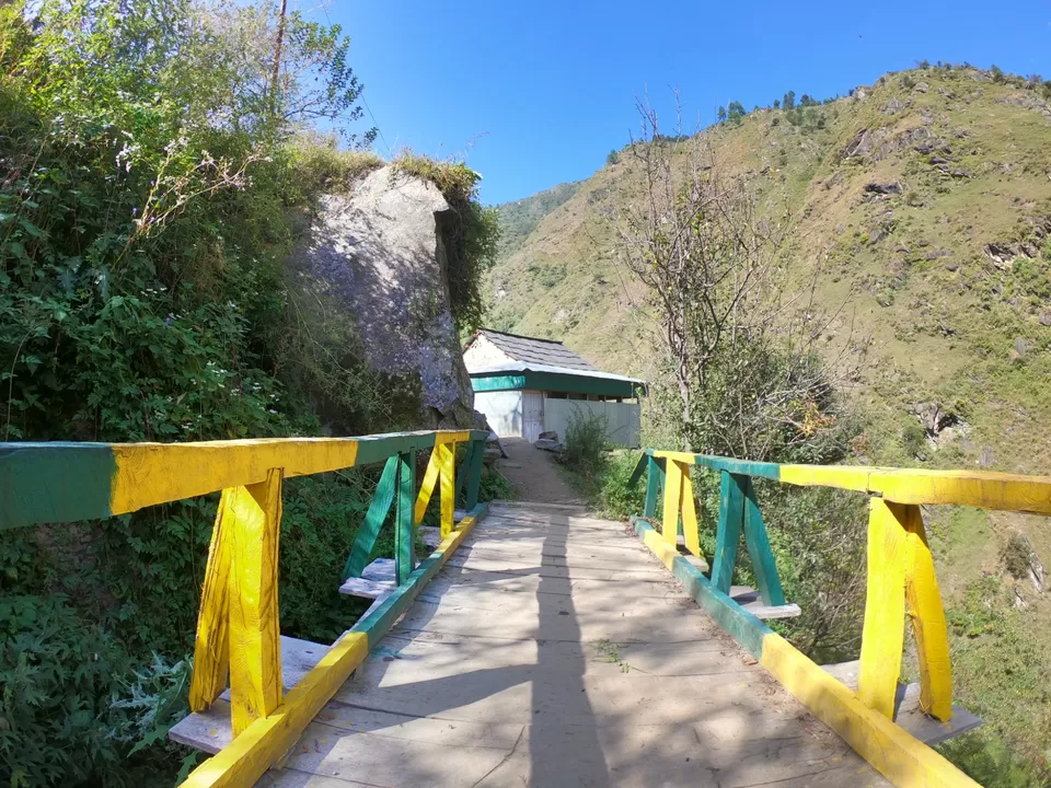 Photo of The Great Himalayan National Park, Forest Office Road, Shamshi, Himachal Pradesh, India by Suraj Bajaj