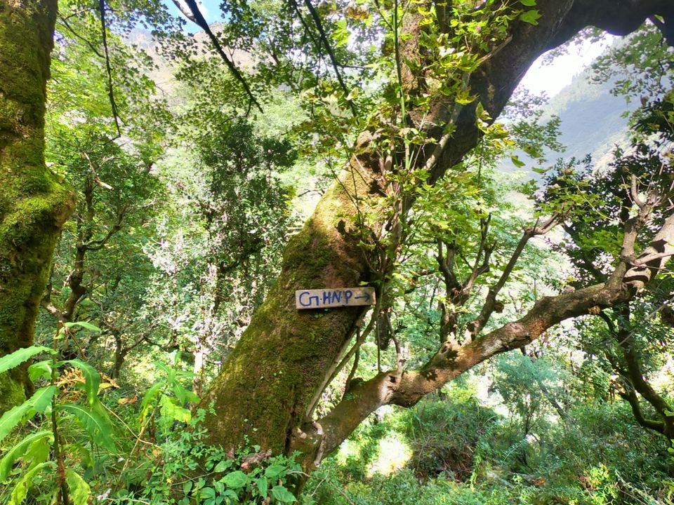 Photo of The Great Himalayan National Park, Forest Office Road, Shamshi, Himachal Pradesh, India by Suraj Bajaj