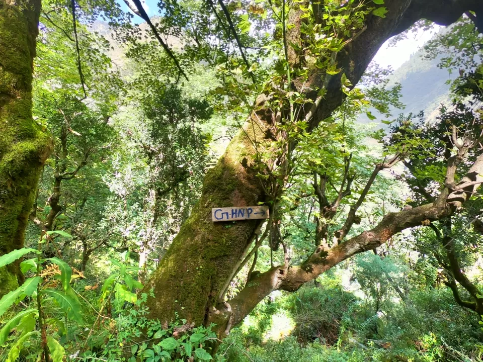 Photo of The Great Himalayan National Park, Forest Office Road, Shamshi, Himachal Pradesh, India by Suraj Bajaj