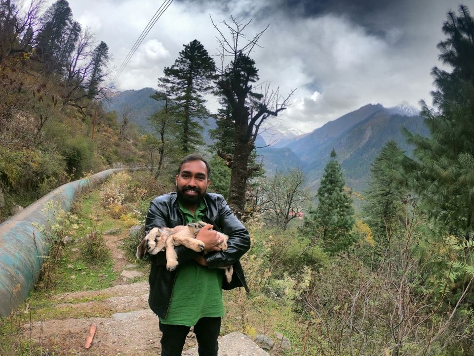 Photo of Tosh, Himachal Pradesh, India by Suraj Bajaj