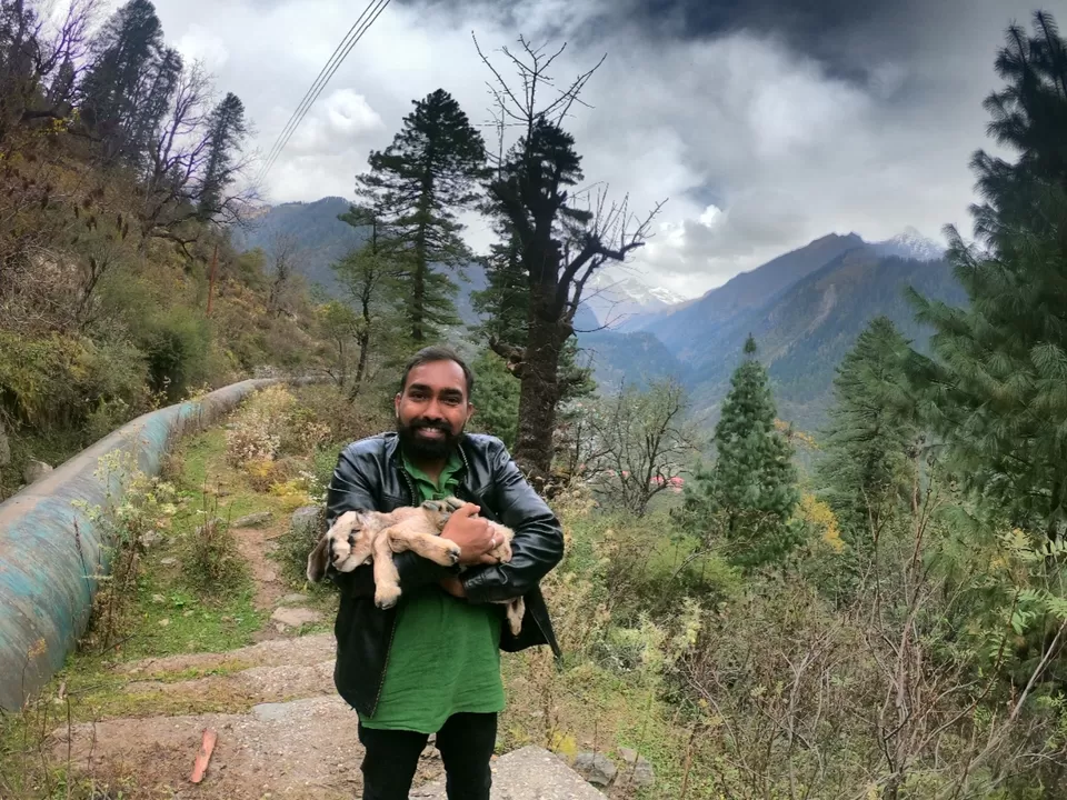 Photo of Tosh, Himachal Pradesh, India by Suraj Bajaj
