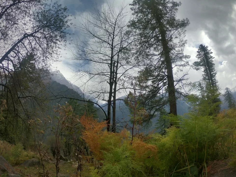 Photo of Tosh, Himachal Pradesh, India by Suraj Bajaj