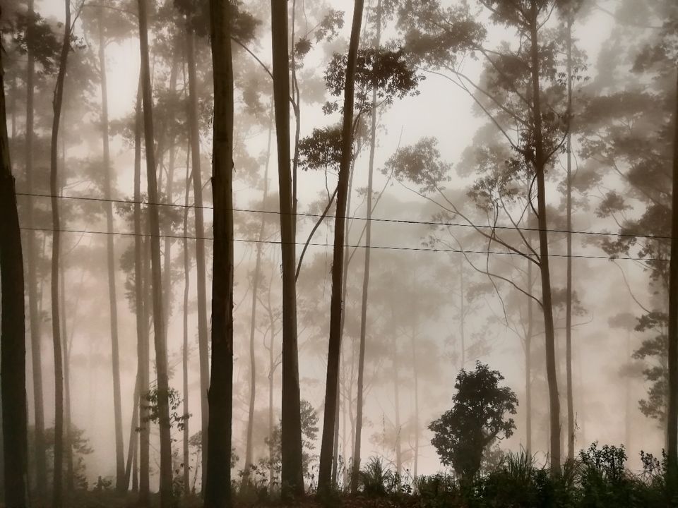 Photo of Kodaikanal by Suraj Bajaj