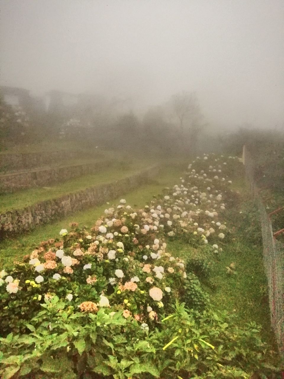 Photo of Kodaikanal by Suraj Bajaj