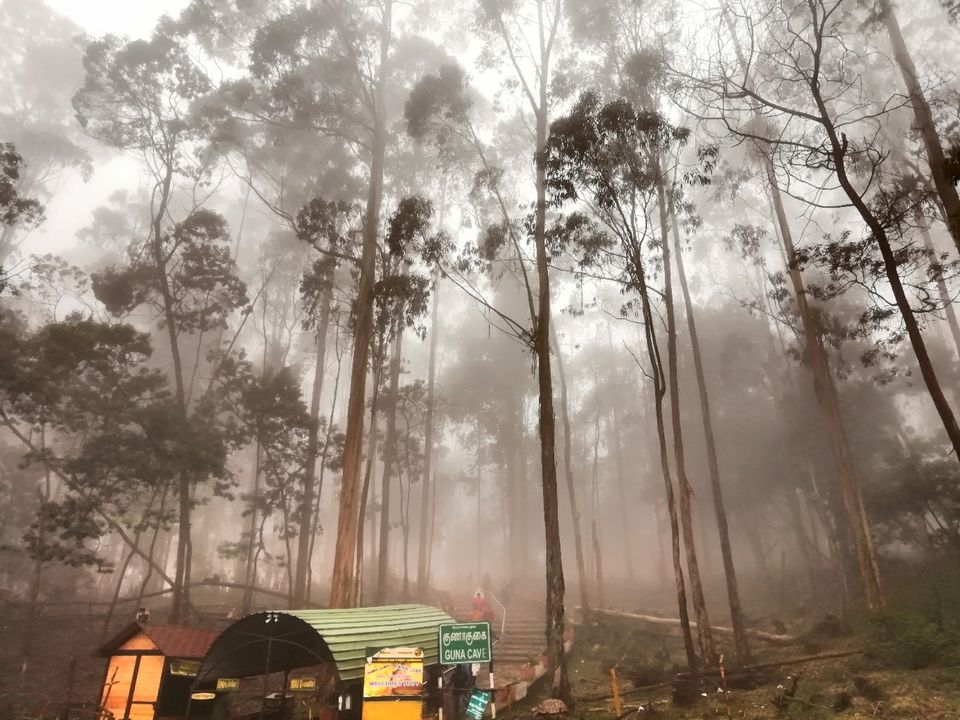 Photo of Kodaikanal by Suraj Bajaj