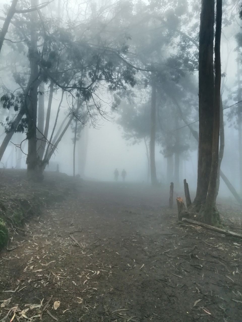Photo of Kodaikanal by Suraj Bajaj