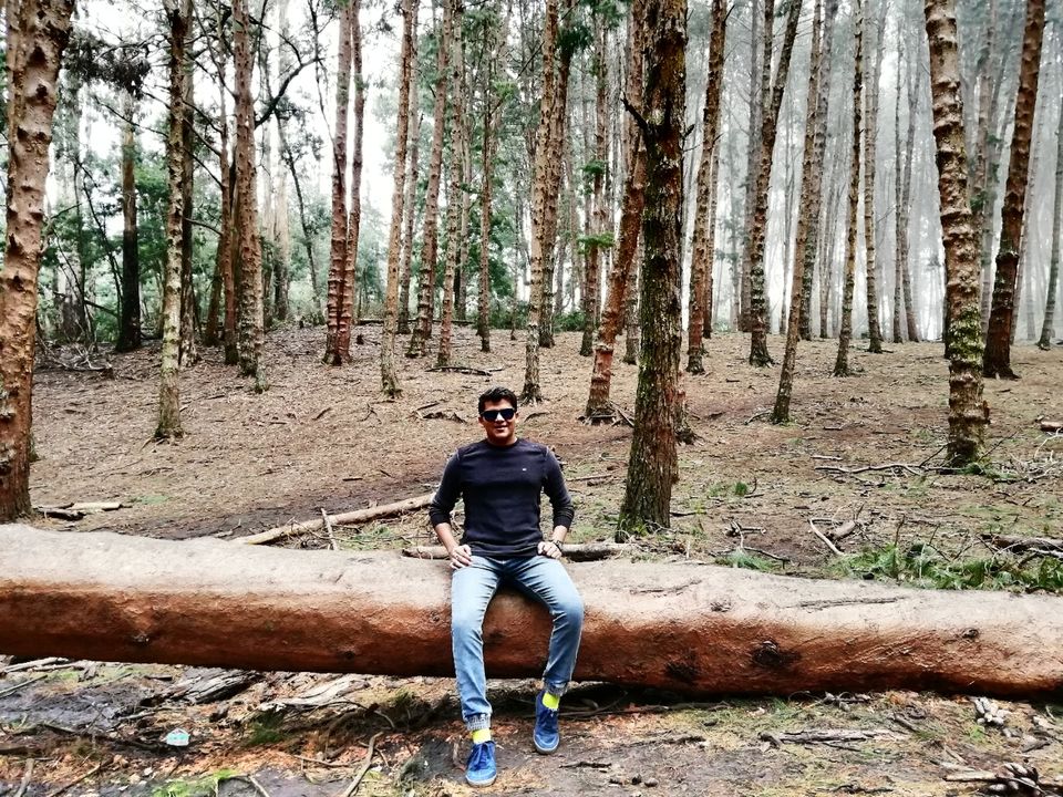 Photo of Kodaikanal by Suraj Bajaj