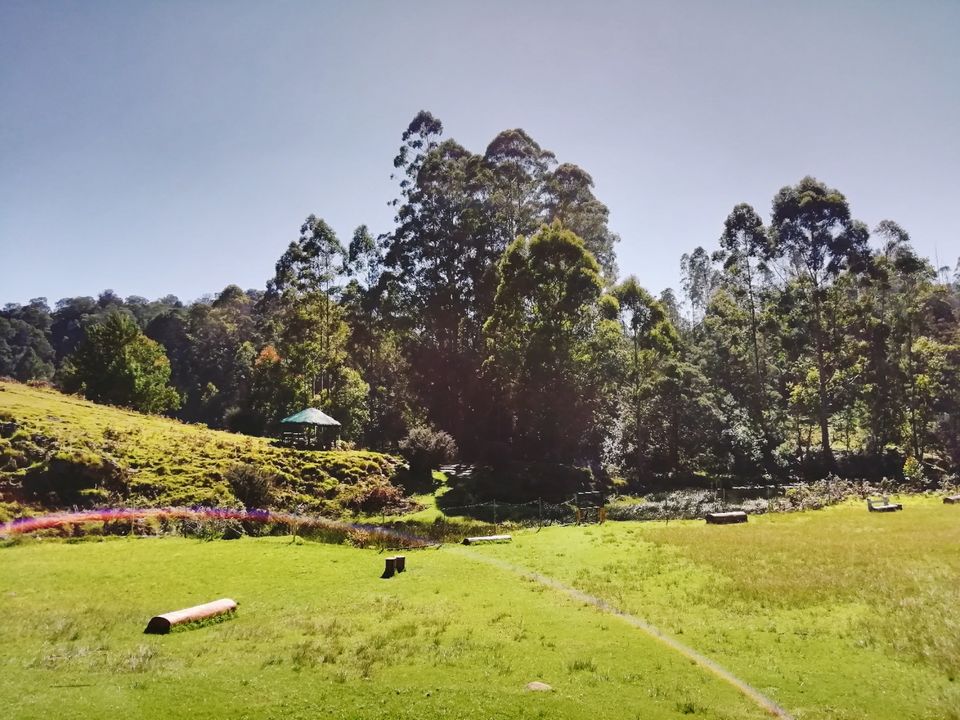 Photo of Kodaikanal by Suraj Bajaj