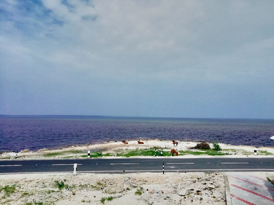 Photo of Rameshwaram, Tamil Nadu, India by Suraj Bajaj