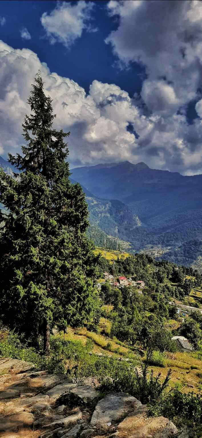 Photo of Chopta, Uttarakhand, India by Suraj Bajaj