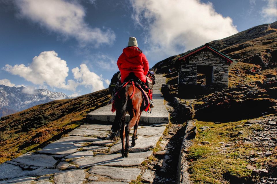 Photo of Chandrashila Trek, Chopta Trek, Chandrashila Trekking, Chopta Chandrashila Trek by Suraj Bajaj