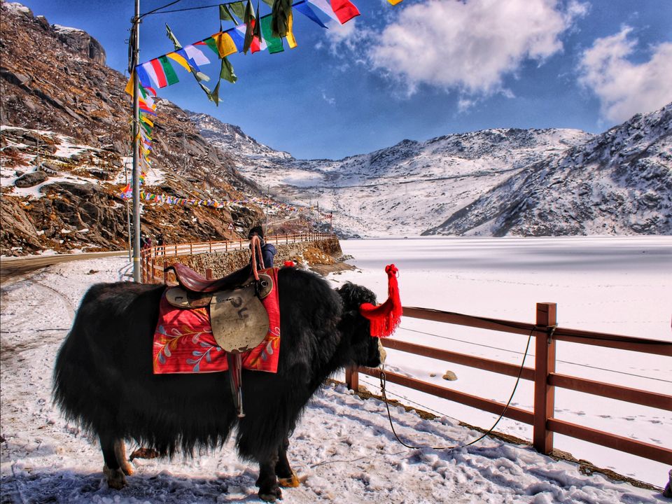 Photo of Tsongmo Lake, Sikkim by Suraj Bajaj