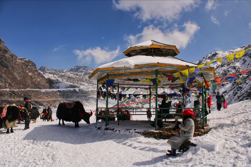 Photo of Tsongmo Lake, Sikkim by Suraj Bajaj