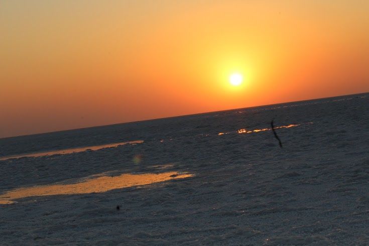 Photo of The Majestic Rann of Kutch 12/22 by Priya Sharma