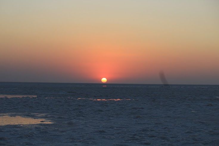 Photo of The Majestic Rann of Kutch 13/22 by Priya Sharma
