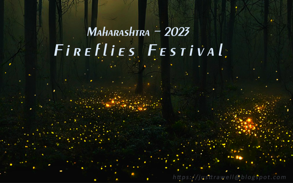 Fireflies Festival in Maharashtra Tripoto