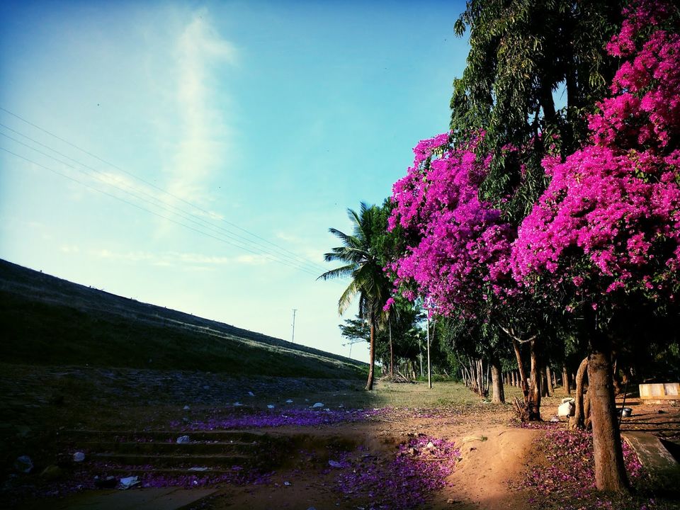 Photo of Markonahalli : a picturesque 5/6 by Sudharshan